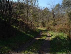 452 Timbertree Branch Road Kingsport, TN 37660 - Photo 6 of 7 Photo 6