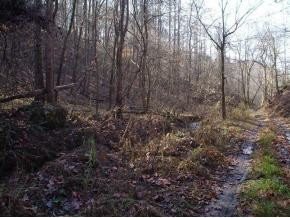 452 Timbertree Branch Road Kingsport, TN 37660 - Photo 7 of 7 Photo 7