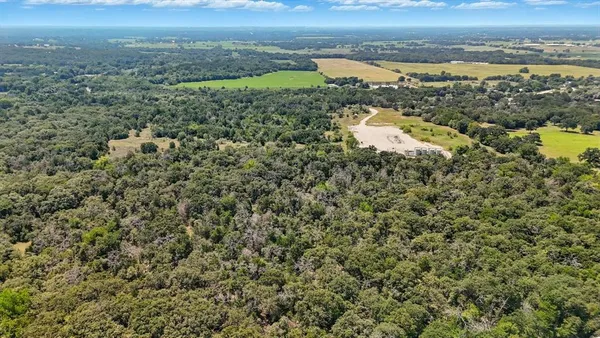 an aerial view of residential houses with outdoor space and trees