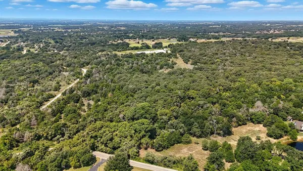 a view of a city with lush green forest
