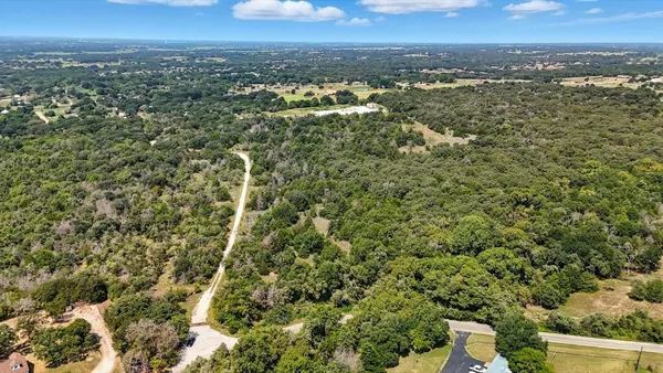 a view of a park with large trees