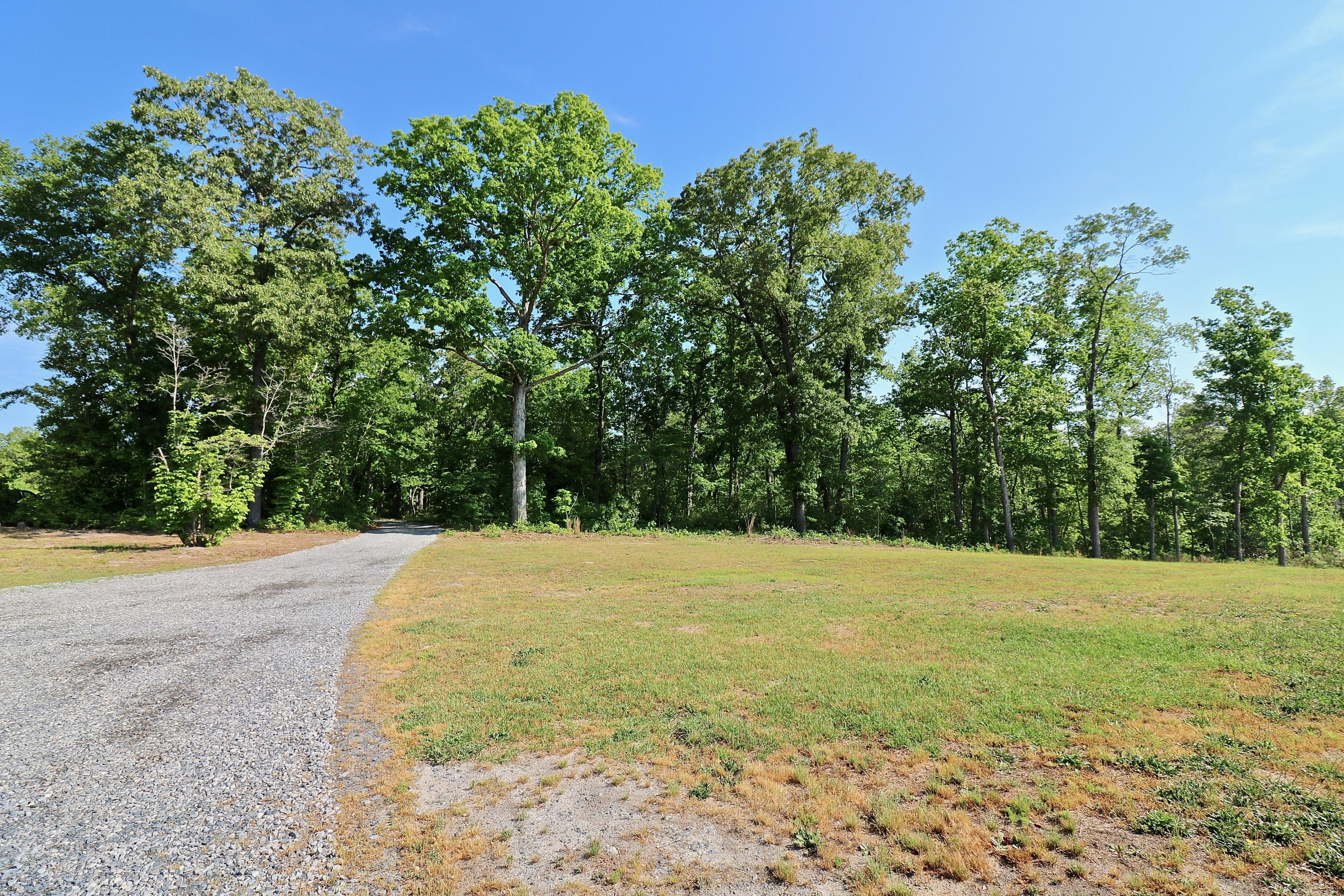 607 Jackson Springs Road Jackson Springs, NC 27281 - Photo 58 of 60 IMG_9762