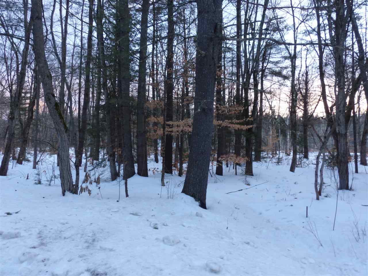 R19-40a Diamond Ledge Road Sandwich, NH 03227 - Photo 1 of 40