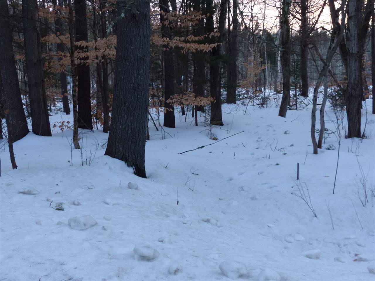 R19-40a Diamond Ledge Road Sandwich, NH 03227 - Photo 2 of 40