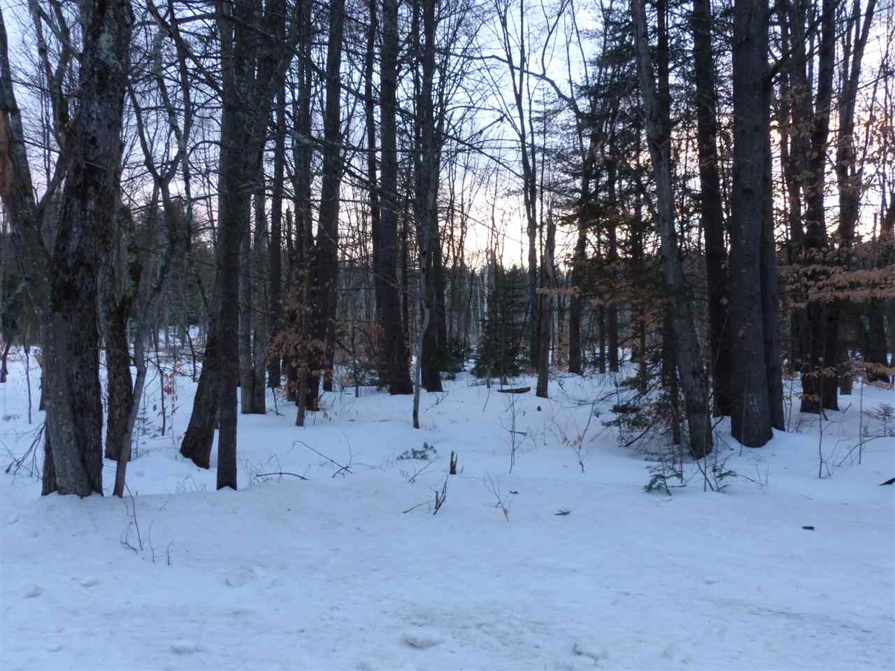 R19-40a Diamond Ledge Road Sandwich, NH 03227 - Photo 3 of 40