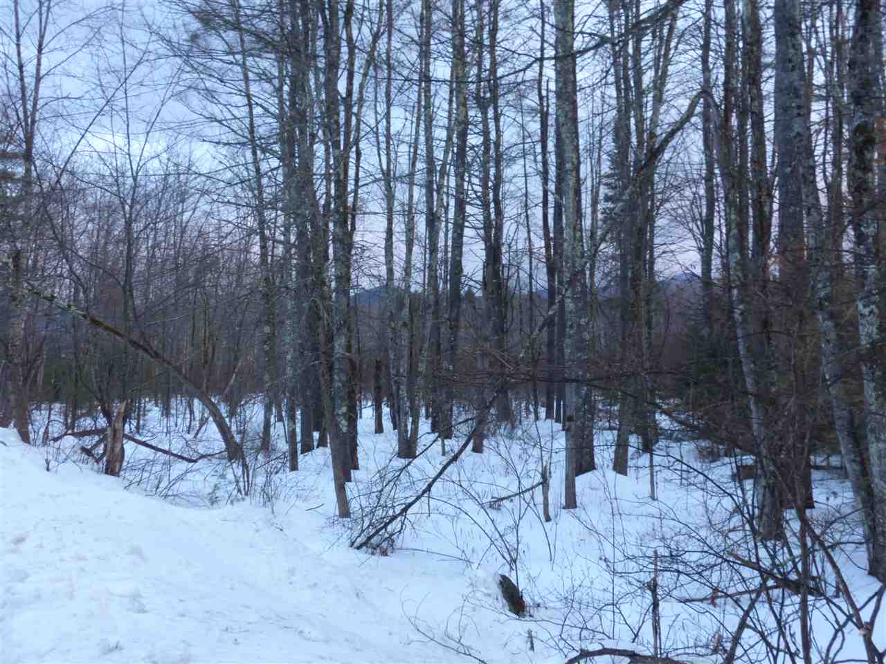 R19-40a Diamond Ledge Road Sandwich, NH 03227 - Photo 4 of 40