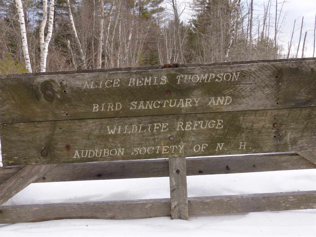 R19-40a Diamond Ledge Road Sandwich, NH 03227 - Photo 7 of 40