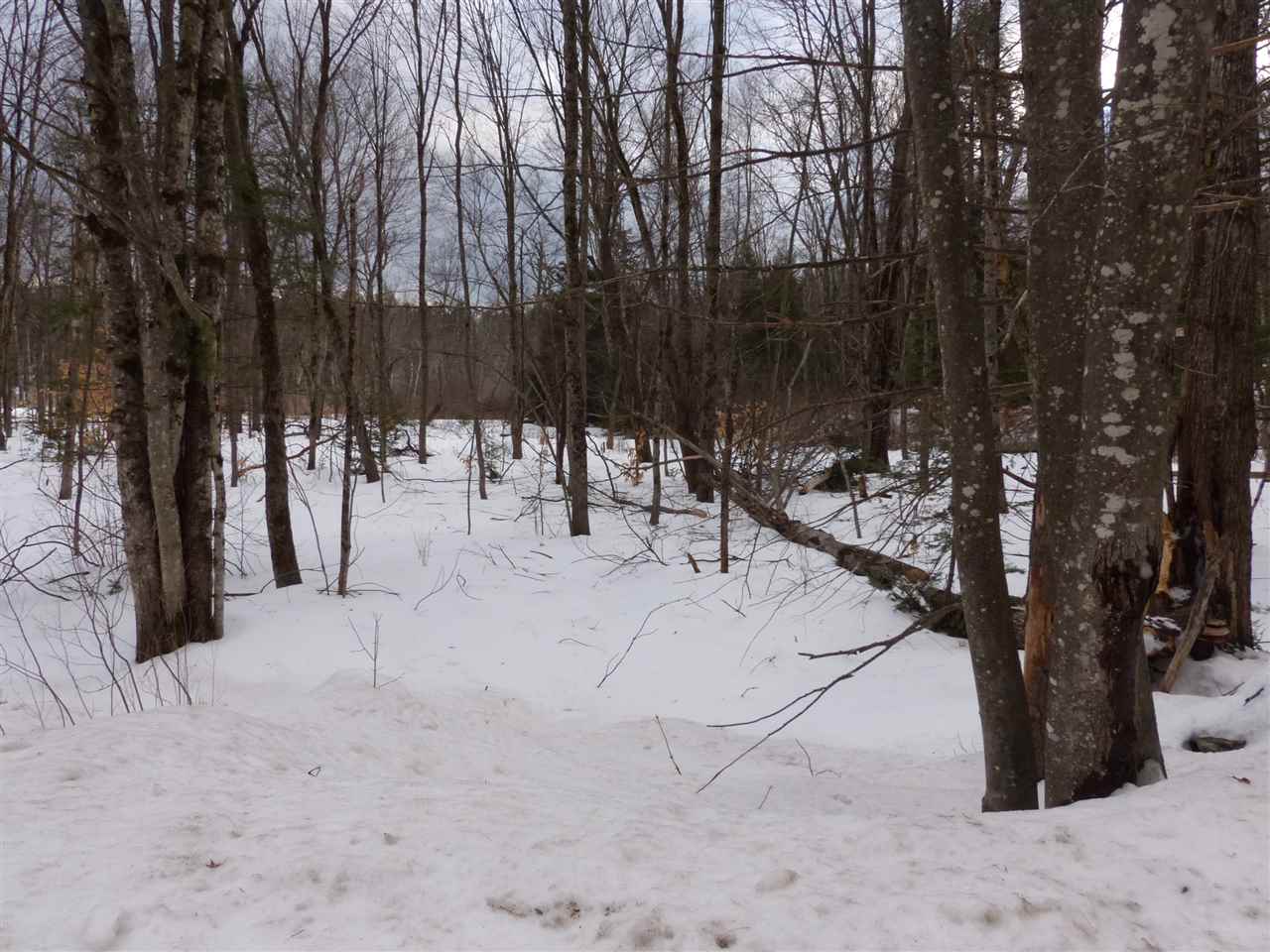 R19-40a Diamond Ledge Road Sandwich, NH 03227 - Photo 9 of 40