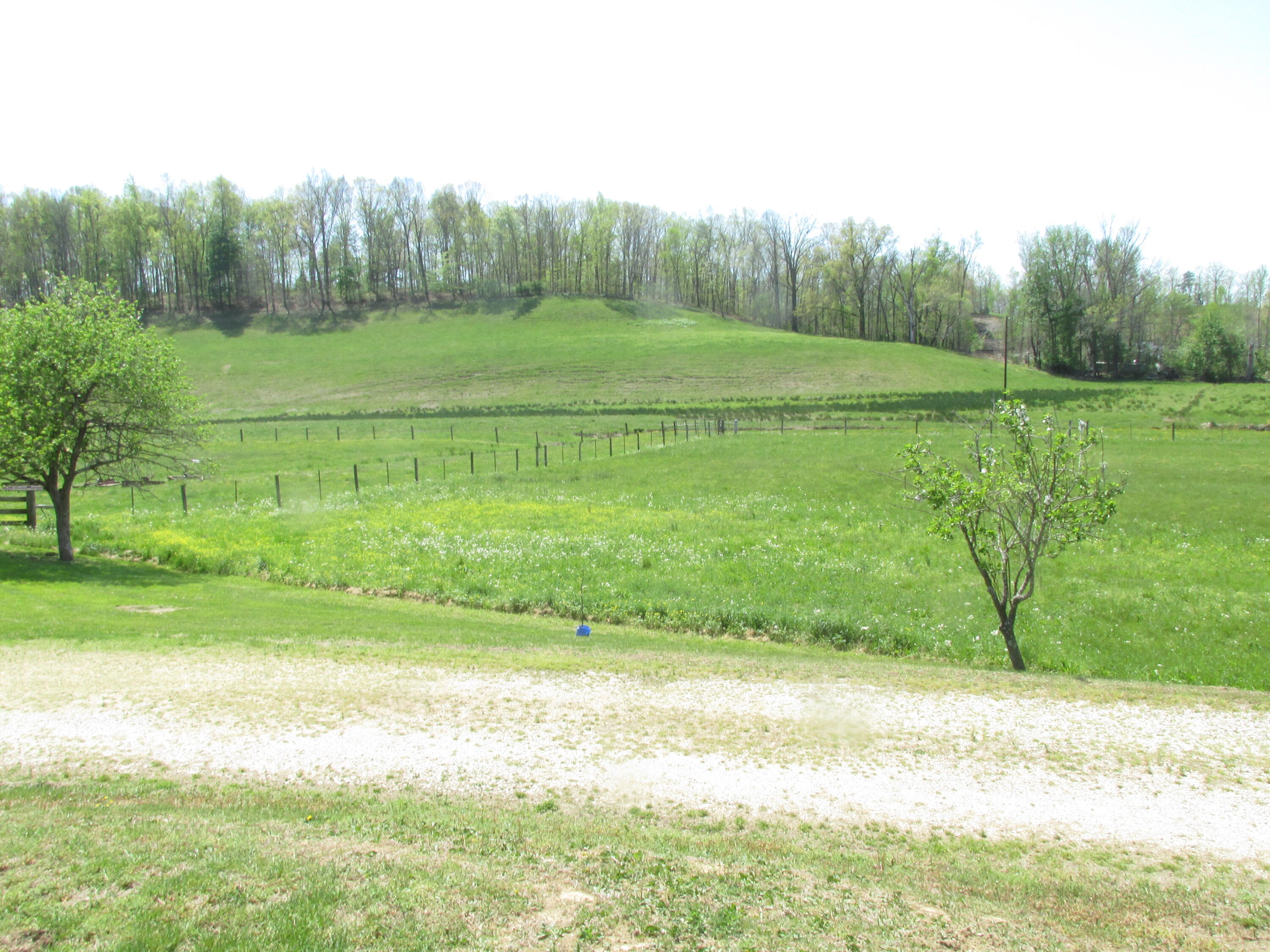 235 Science Ridge Road Jeffersonville, KY 40337 - Photo 18 of 31 IMG_0264