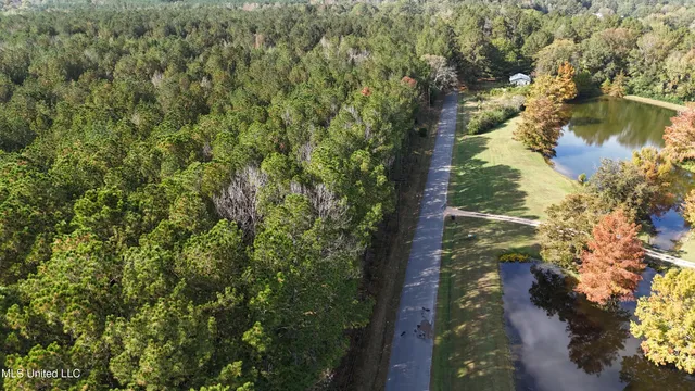 $39,996 | Old Pinola Braxton Road, Braxton, MS 39044