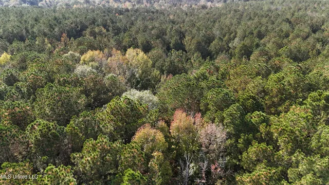 $39,996 | Old Pinola Braxton Road, Braxton, MS 39044