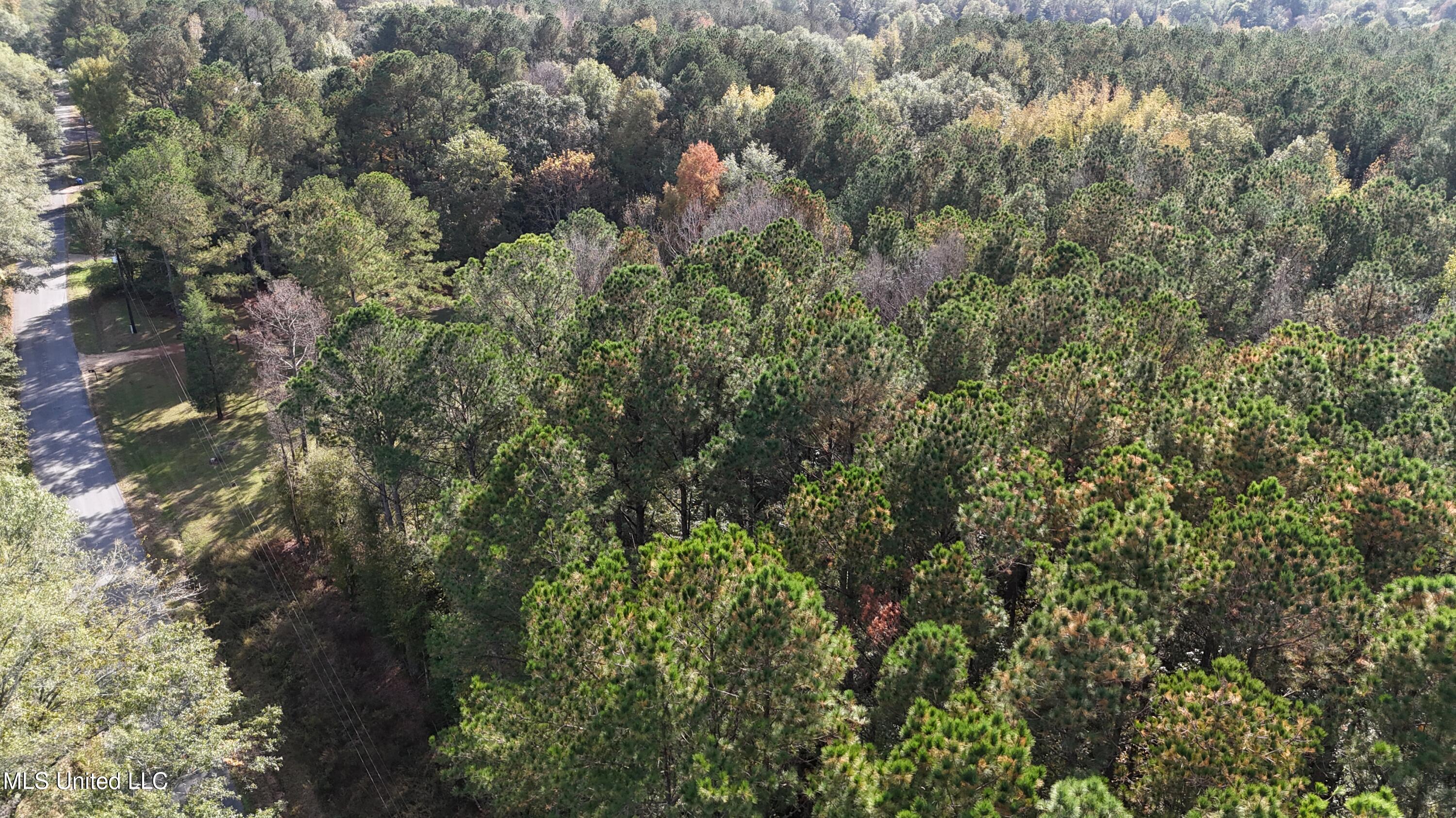 Old Pinola Braxton Road Braxton, MS 39044 - Photo 3 of 12 DJI_20241102145237_0160_D