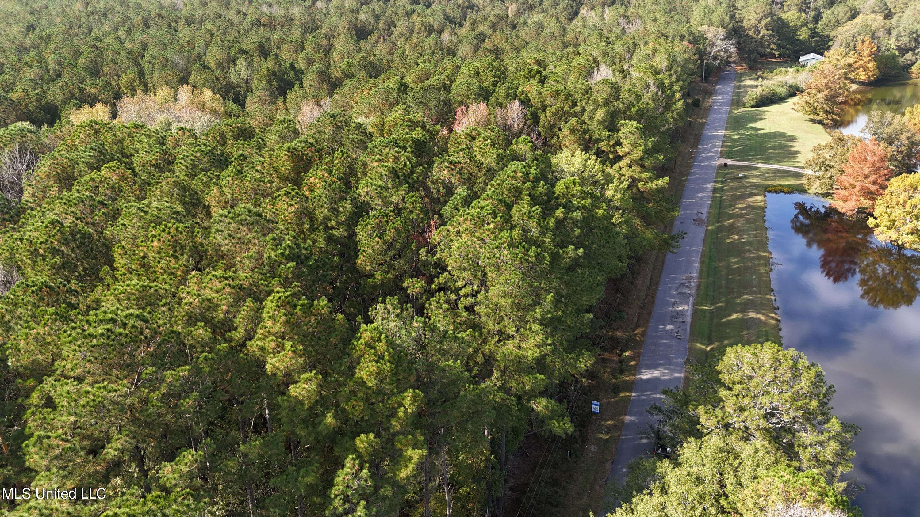 Old Pinola Braxton Road Braxton, MS 39044 - Photo 4 of 12 DJI_20241102145310_0161_D