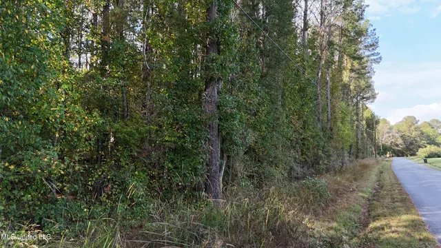 $39,996 | Old Pinola Braxton Road, Braxton, MS 39044