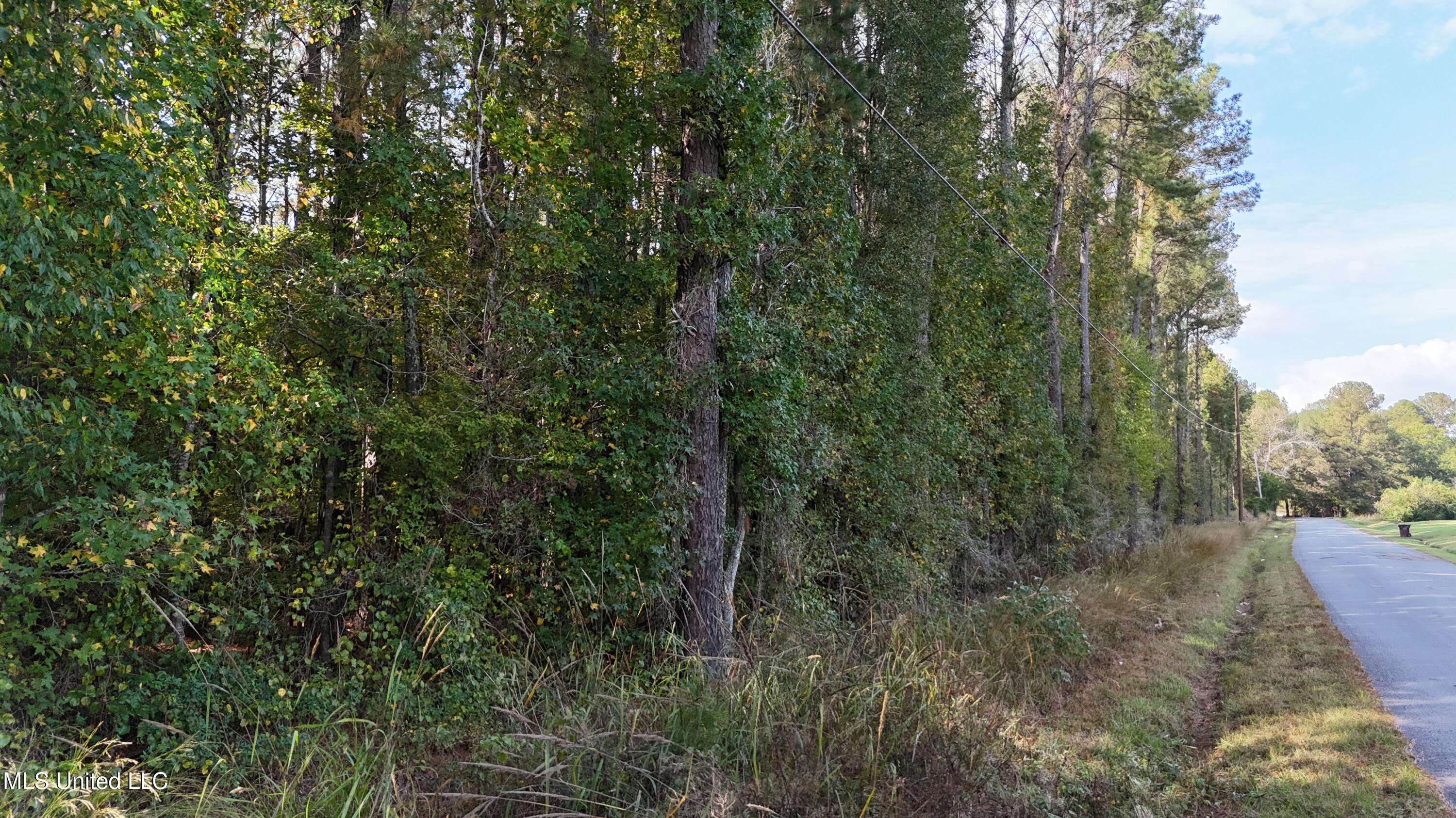 Old Pinola Braxton Road Braxton, MS 39044 - Photo 7 of 12 DJI_20241102145455_0164_D