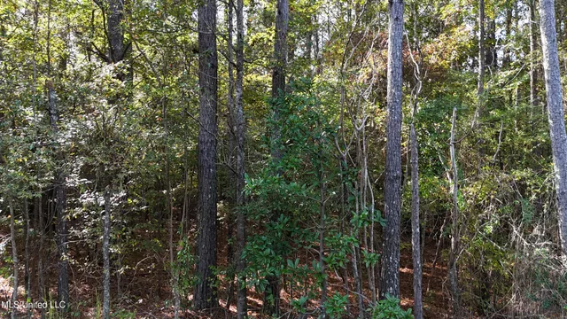 $39,996 | Old Pinola Braxton Road, Braxton, MS 39044