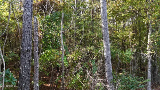 $39,996 | Old Pinola Braxton Road, Braxton, MS 39044