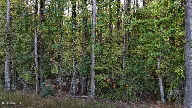 $39,996 | Old Pinola Braxton Road, Braxton, MS 39044