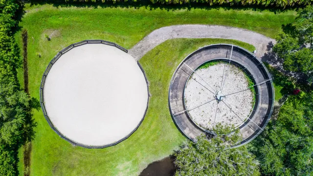 a view of a backyard with a lake
