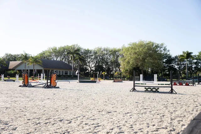 a view of a bench in a garden