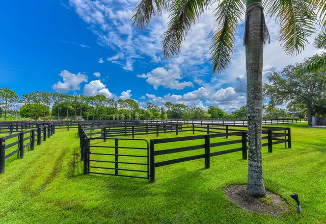 a view of a swimming pool with a yard