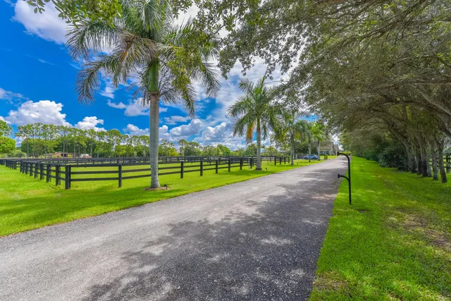 a view of a park and trees
