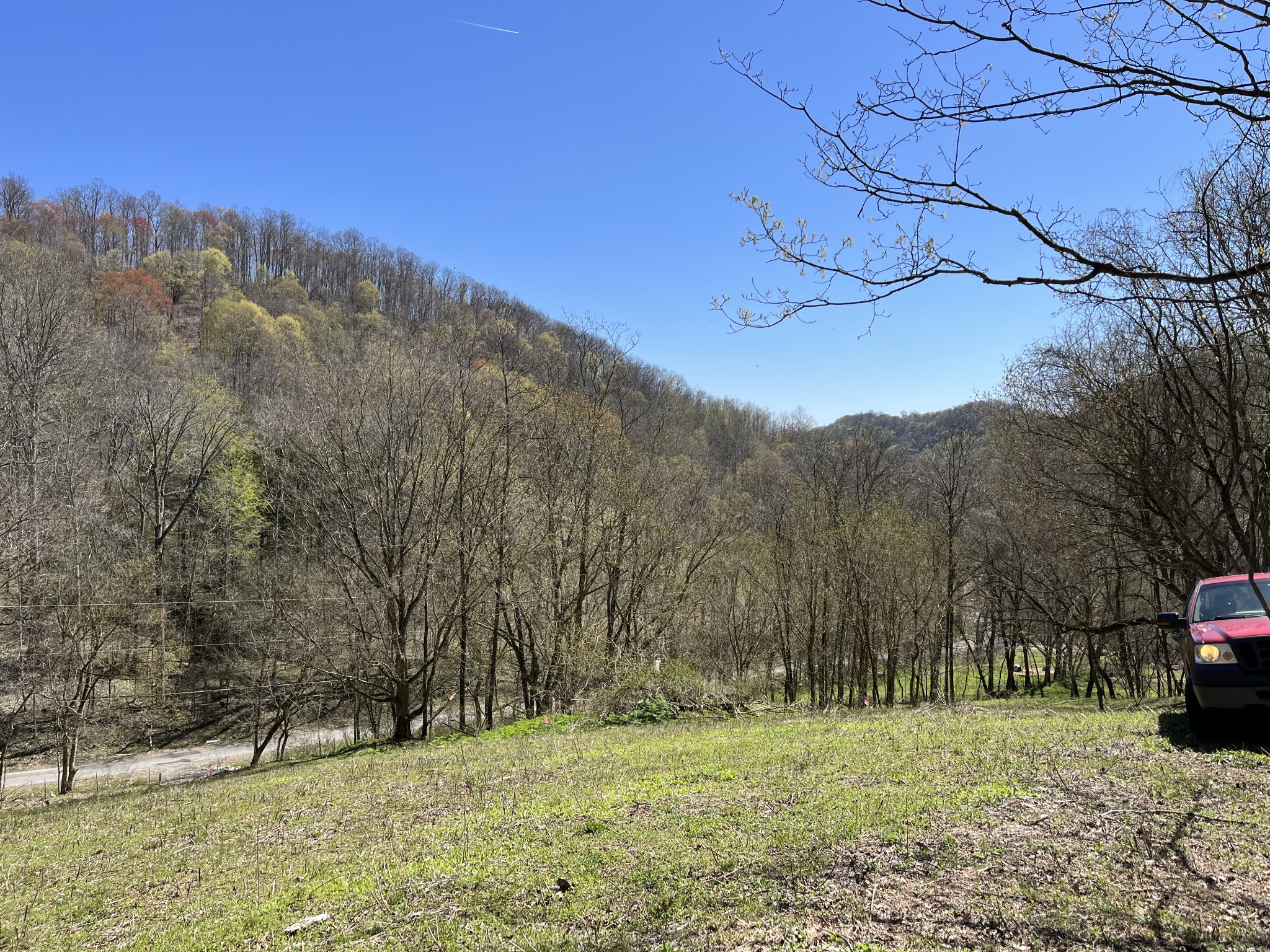 167 Dillehay Hollow Road Pleasant Shade, TN 37145 - Photo 27 of 28 a view of a yard with a house in the background