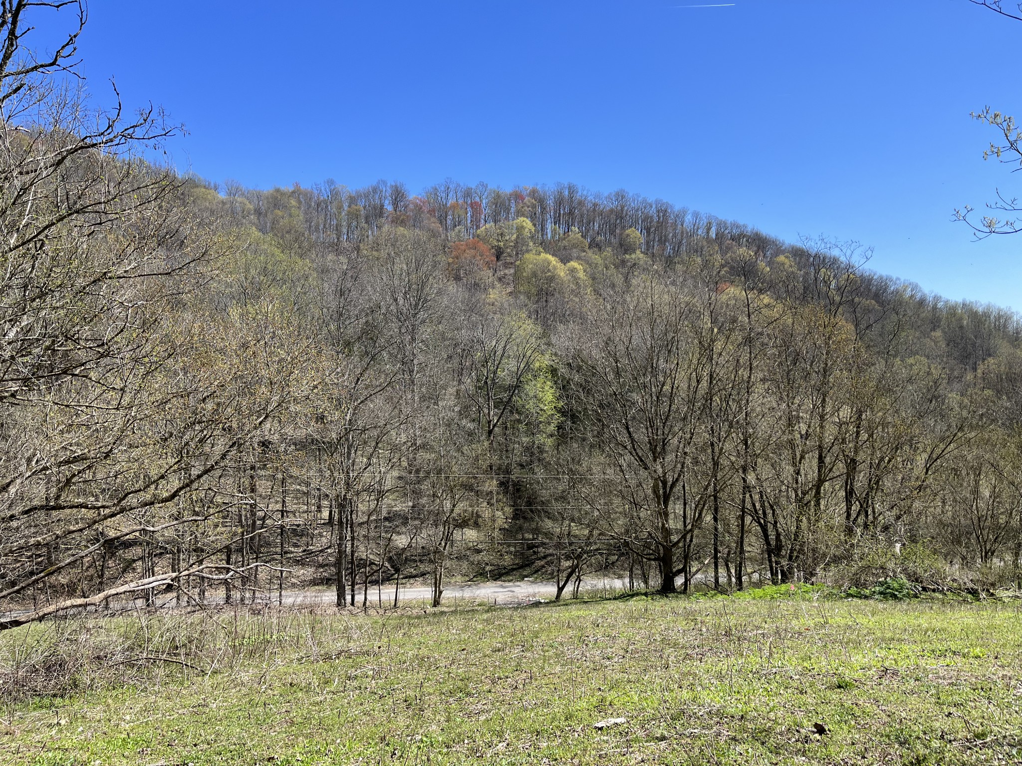 167 Dillehay Hollow Road Pleasant Shade, TN 37145 - Photo 4 of 28 a view of outdoor space with mountain view