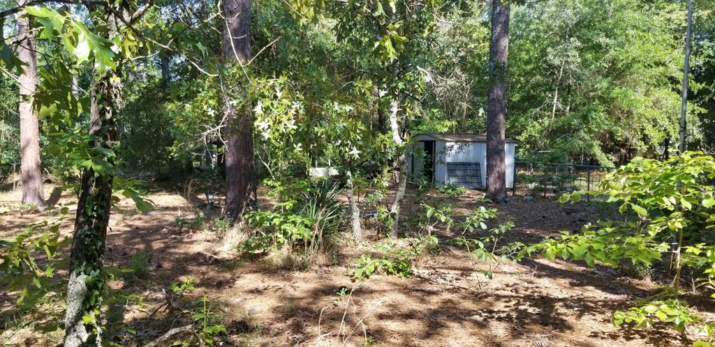 743 Done Roven Road Augusta, GA 30906 - Photo 6 of 19