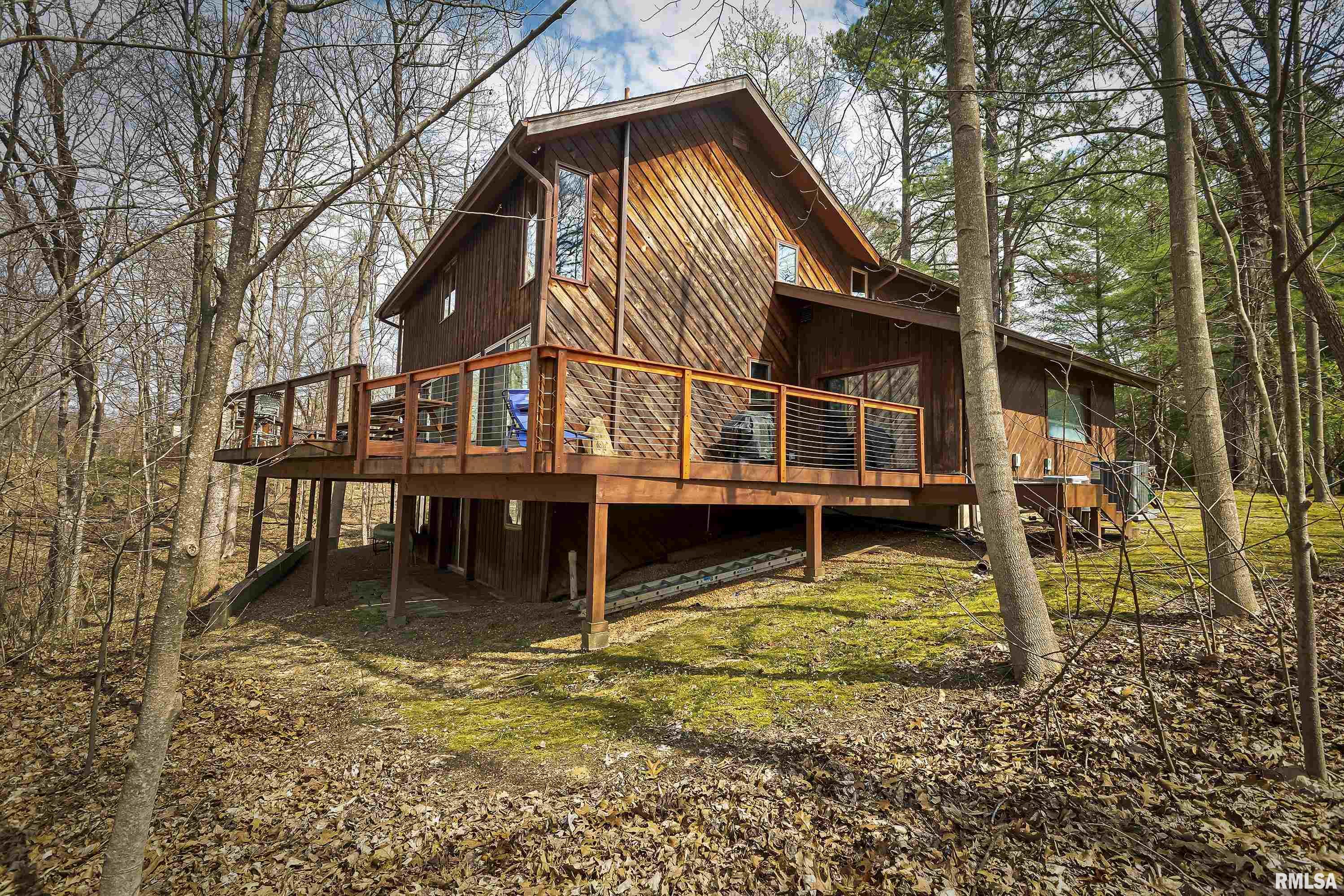 87 May Apple Lane Carbondale, IL 62903 - Photo 4 of 51