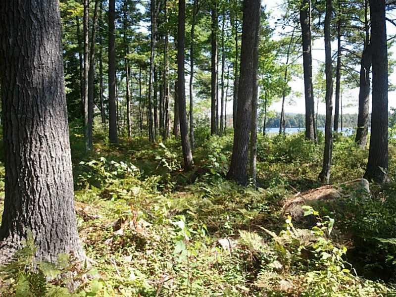 16 White Point Estates Road Lincoln, ME 04457 - Photo 11 of 17 Land. view of the lot to the side/