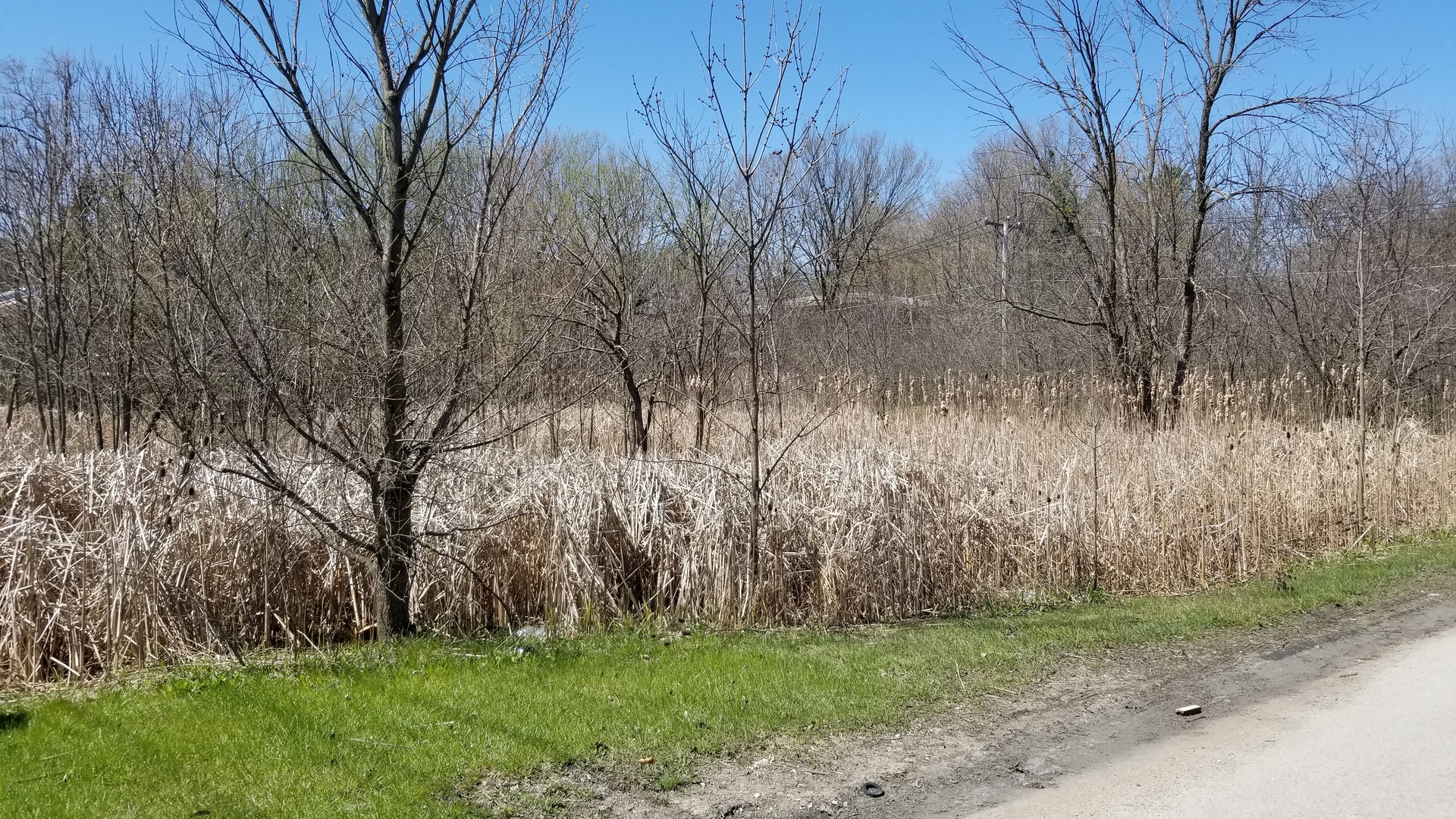 27-w0s Roosevelt Road Wheaton, IL 60189 - Photo 2 of 6