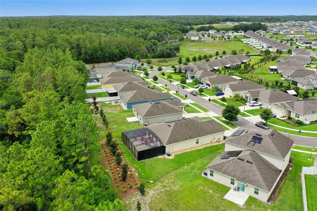 4810 Magnetite Loop Mount Mount Dora, FL 32757 - Photo 60 of 67