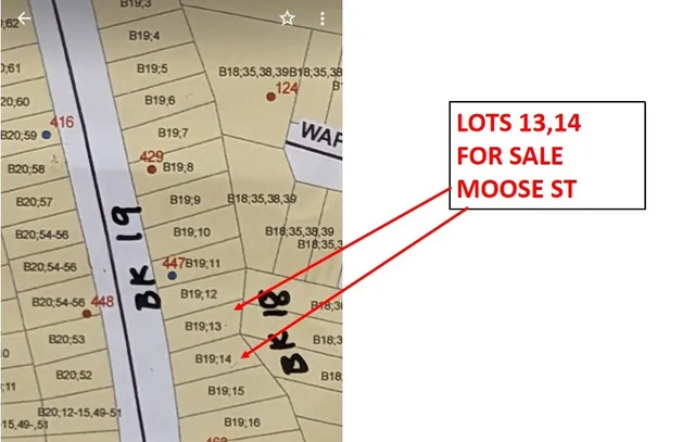 $13,213 | Lot 13 Moose Drive, Onalaska, TX 77360