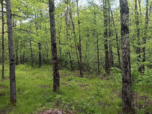 $39,900 | N10095 Woodland Lane, Phillips, WI 54555