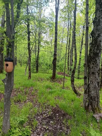 $39,900 | N10095 Woodland Lane, Phillips, WI 54555