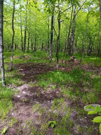 $39,900 | N10095 Woodland Lane, Phillips, WI 54555