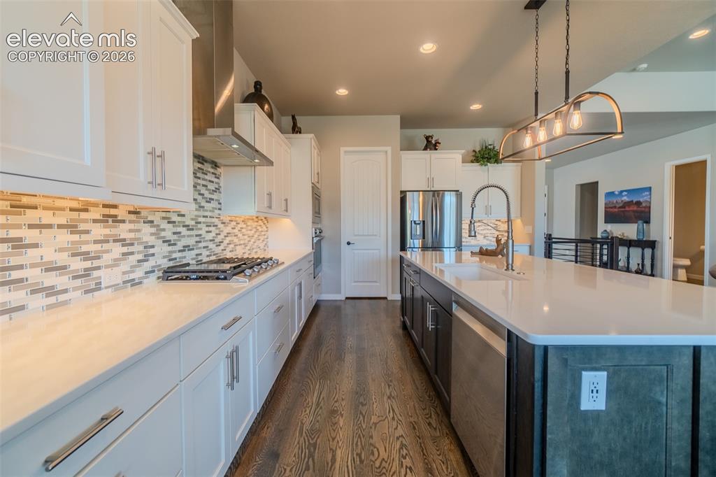 1061 Native Dancer Terrace Colorado Springs, CO 80921 - Photo 12 of 50 Spacious kitchen featuring an expansive island with an undermount sink, stainless steel appliances, white cabinetry, a glass tile backsplash, and wood-finish flooring