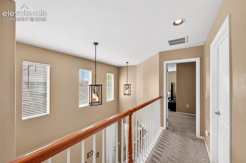10648 Ashfield Street Highlands Ranch, CO 80126 - Photo 20 of 49