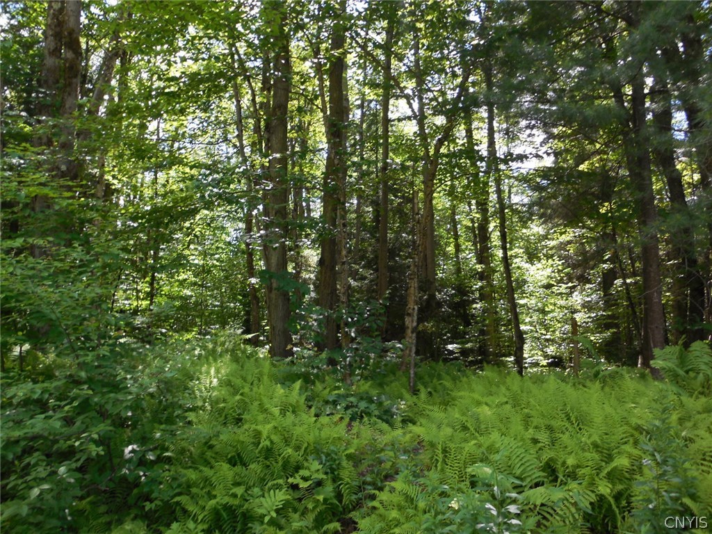 343-365 Mccaw Road Redfield, NY 13437 - Photo 1 of 1 Gallery Image 1
