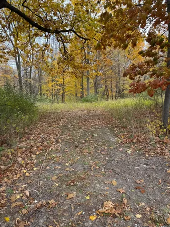 $70,000 | 0 West Clear Lake Road, Buchanan, MI 49107