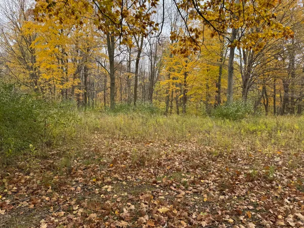 $70,000 | 0 West Clear Lake Road, Buchanan, MI 49107