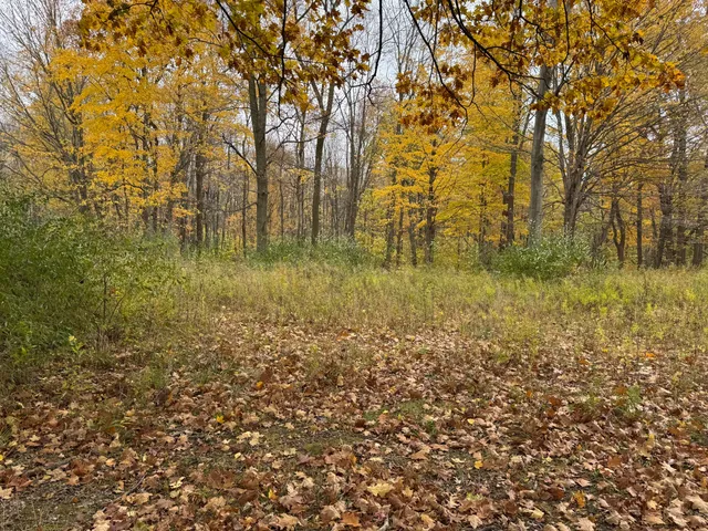 $79,900 | 0 West Clear Lake Road, Buchanan, MI 49107