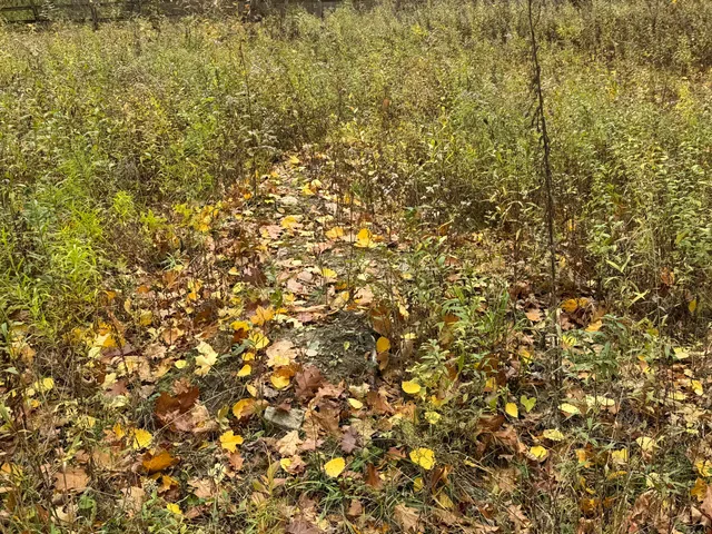 $79,900 | 0 West Clear Lake Road, Buchanan, MI 49107