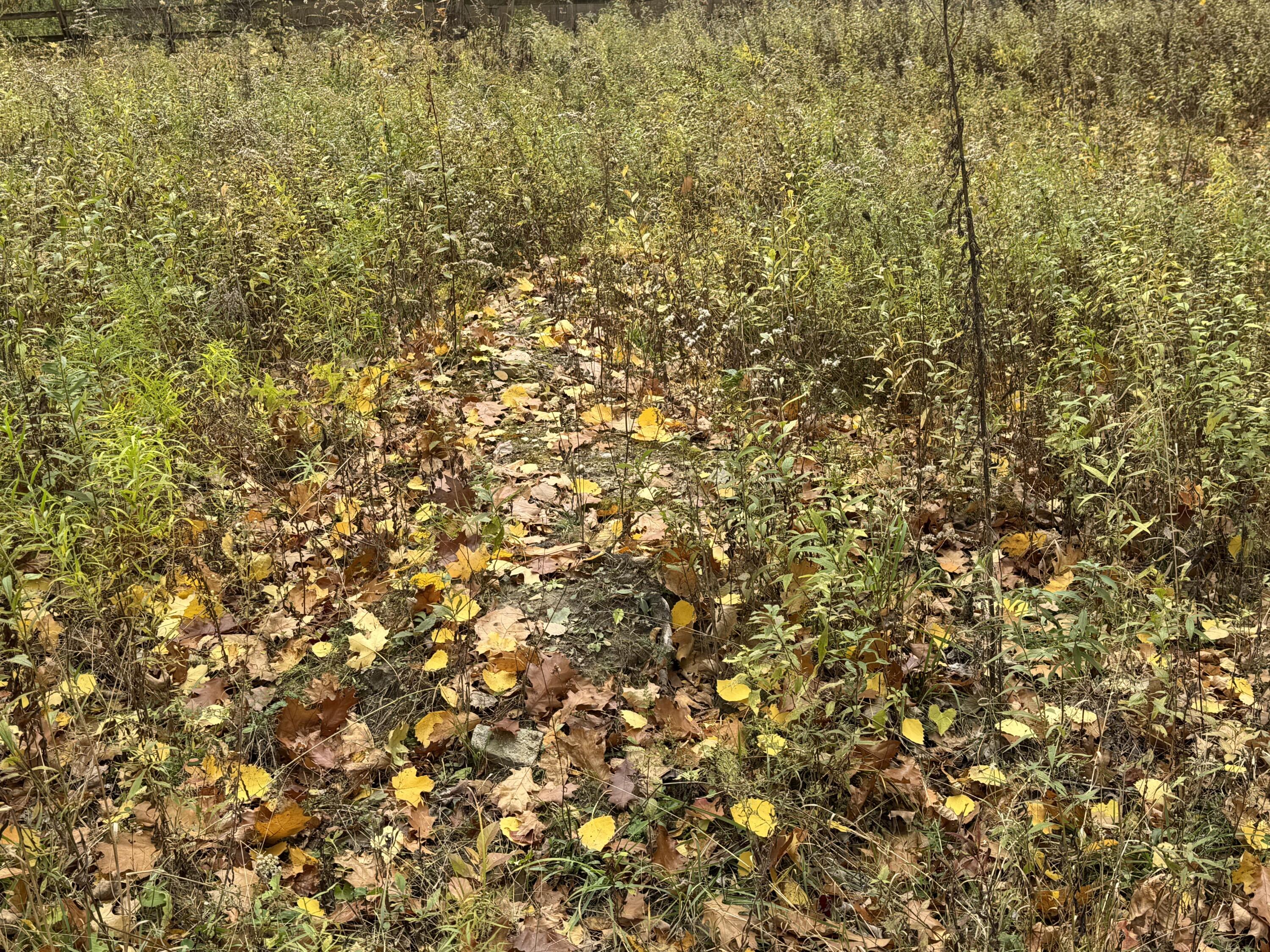 0 West Clear Lake Road Buchanan, MI 49107 - Photo 4 of 5 IMG_1495