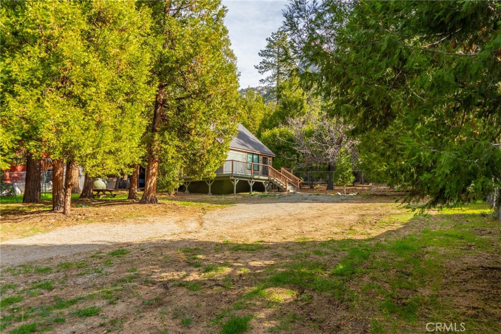 25150 Fern Valley Road Idyllwild, CA 92549 - Photo 12 of 43