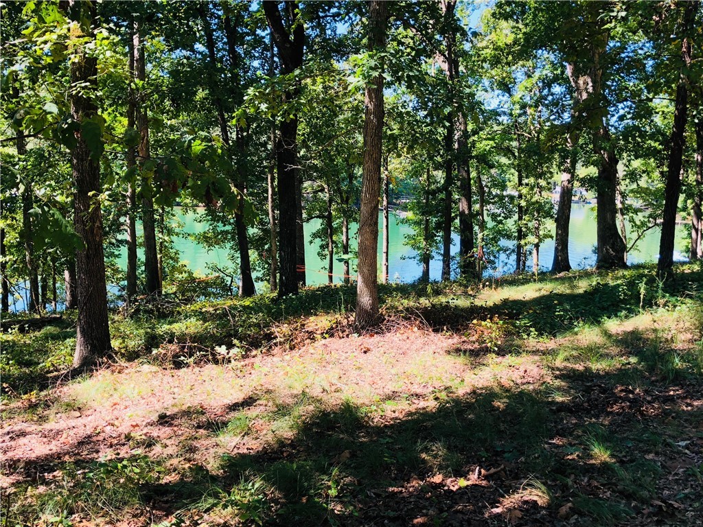 36 Sequoyah Road, Unit FAIR PLAY Fair Play, SC 29643 - Photo 11 of 19 Gallery Image 11