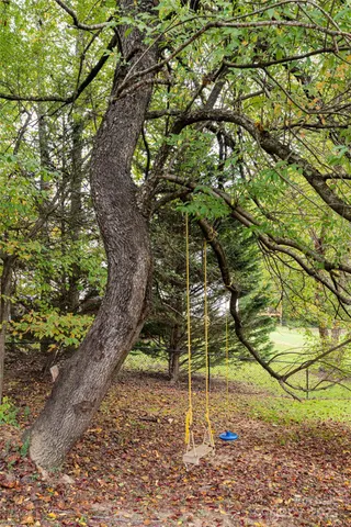 a backyard of a house with yard and tree