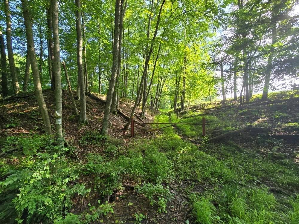 273 Government Road New Bethlehem, PA 16242 - Photo 26 of 33 a backyard of a house with lots of green space and trees