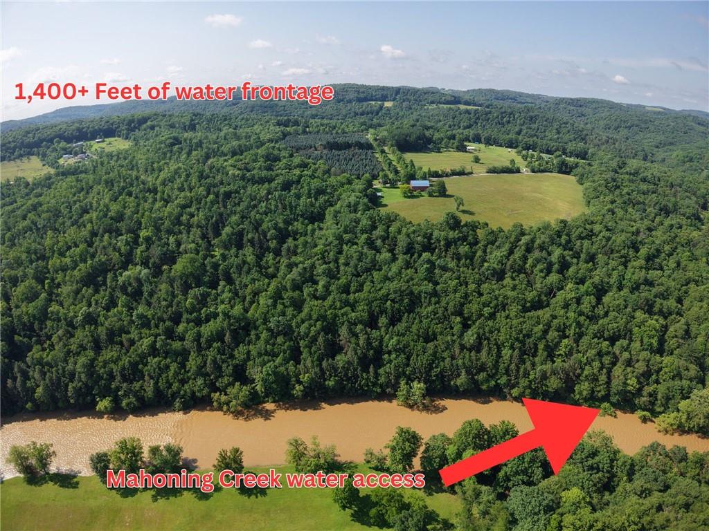 273 Government Road New Bethlehem, PA 16242 - Photo 30 of 33 a view of a bunch of trees and flowers